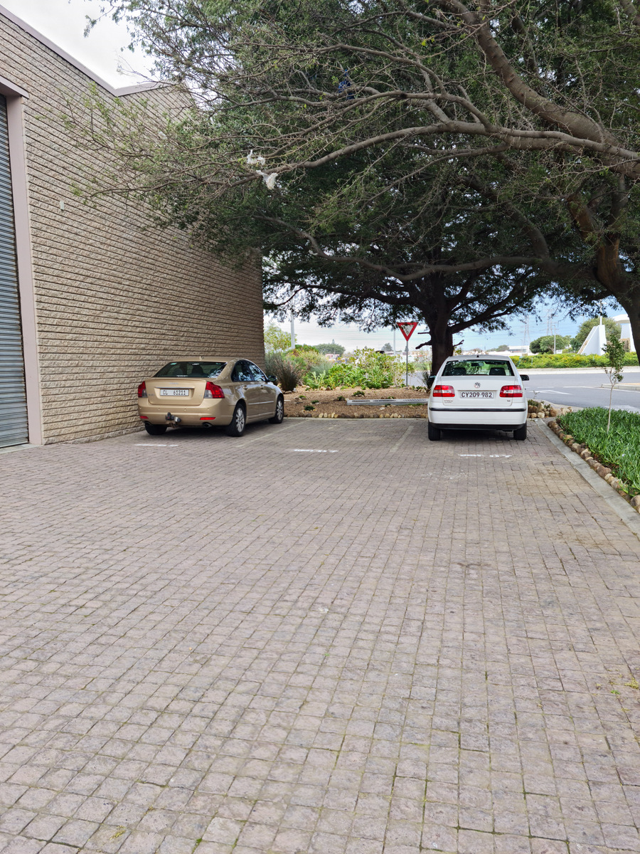 To Let commercial Property for Rent in Asla Park Western Cape